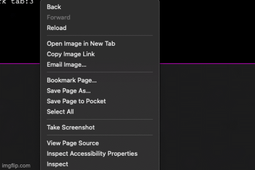 network tab gif